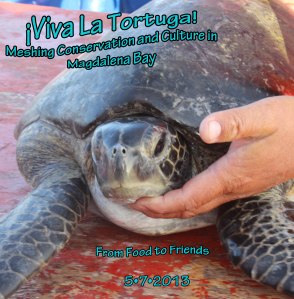 ¡Viva La Tortuga!  Meshing Conservation and Culture in Magdalena Bay (April 16, 2013)
